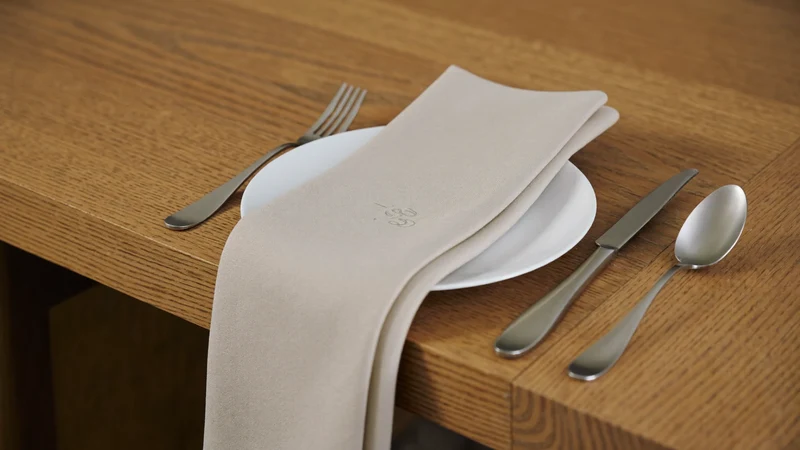 Gedeckter Tisch im Tageslicht mit einem Gedeck aus Edelstahlbesteck und Leinenserviette